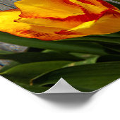 Poster L'amour est patient (Coin)