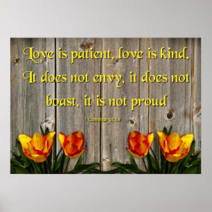 Poster L'amour est patient