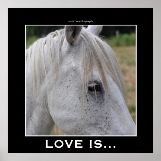 Poster L'amour est... Un Beau Cadeau Photo Cheval Blanc (Devant)