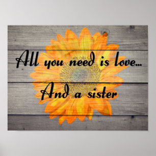 Poster L'amour et une soeur