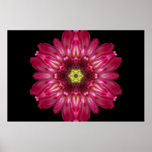 Poster L'amour permet l'affiche de mandala de fleur