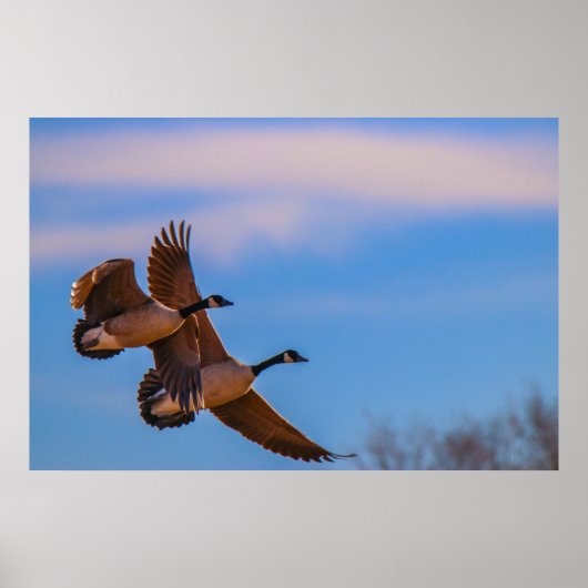 Poster l'amour reste uni (Devant)