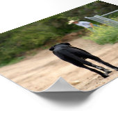 Poster L'amour véritable attend (Coin)