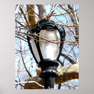 Poster Lamp Post New York Central Park