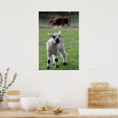 Poster Lampe de printemps - Imprimantes d'art (Cuisine)