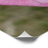 Poster Lampe de table fleur rose rose (Coin)
