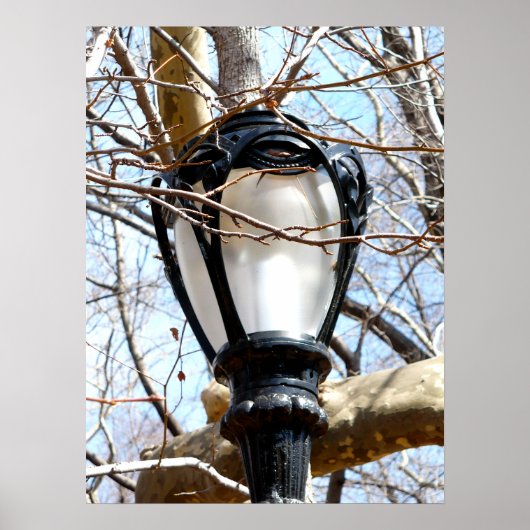 Poster Lampe Post New York Central Park (Devant)