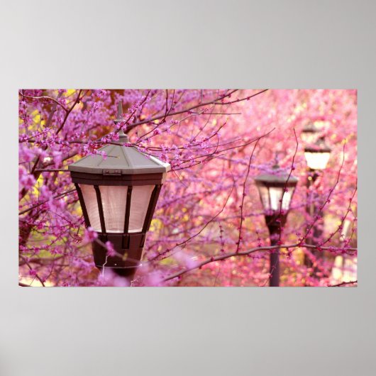 Poster Lamps of UVA (Devant)