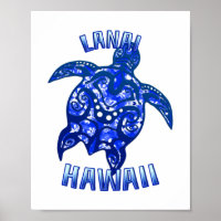 Lanai Hawaii Vacances Tortue Tribale