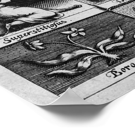 Poster L'anatomie de la mélancolie (Coin)