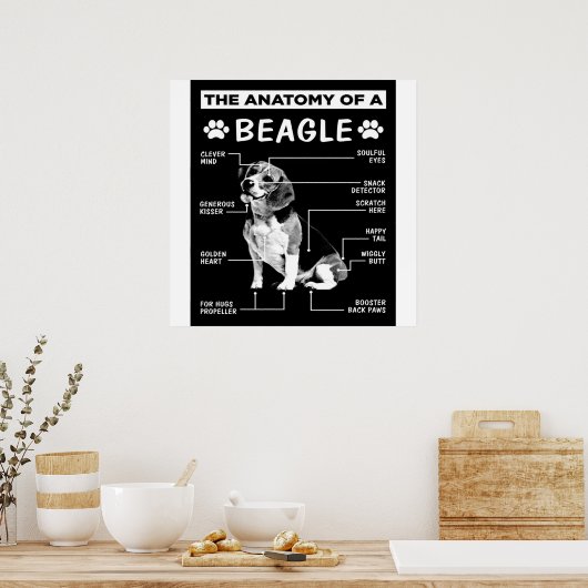 Poster L'Anatomie D'Un Chien Beagle (Cuisine)