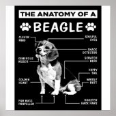 Poster L'Anatomie D'Un Chien Beagle (Devant)