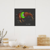 Poster L'anatomie d'un Kiwi (Cuisine)