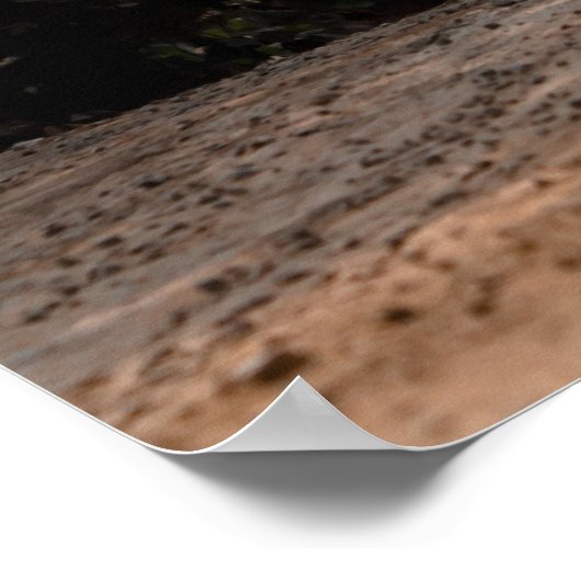 Poster Lancement de Cusco (Coin)