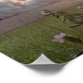 Poster Lancement de la navette spatiale Challenger (STS-5 (Coin)