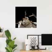 Poster Lancement de LAGEOS II de Shuttle Columbia (STS-52 (Bureau à domicile)