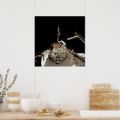 Poster Lancement de LAGEOS II de Shuttle Columbia (STS-52 (Cuisine)