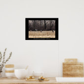 Poster Lancer l'affiche Whitetail (Cuisine)