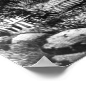 Poster L'ancien seau à oeufs - 1872 (Coin)