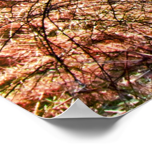 POSTER L'ANCIENNE BOIS DE BOIS (Coin)