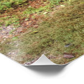 Poster Land Rover série III 109 (Coin)