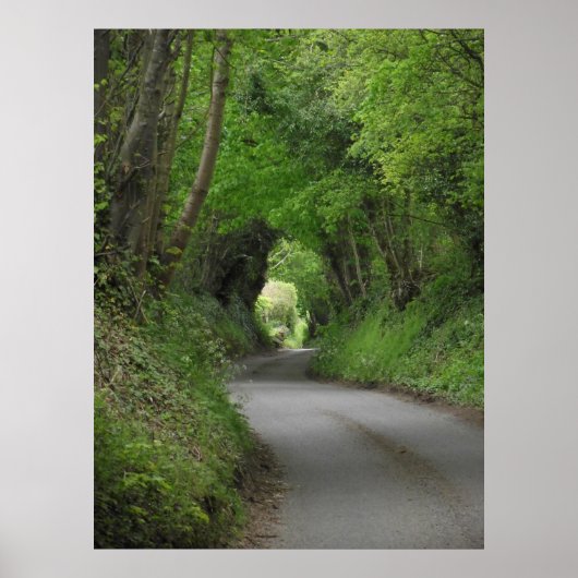 Poster Landlandlaan (Voorkant)