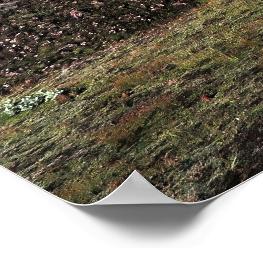 Poster Landmannalaugar (Coin)