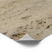 Poster Landrover (Coin)