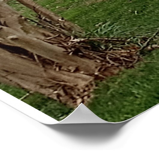 Poster Landscape design (Coin)