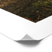 Poster Landscape Mannheim 1 (Coin)