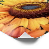 Poster Landscape Sunflowers Boho (Coin)