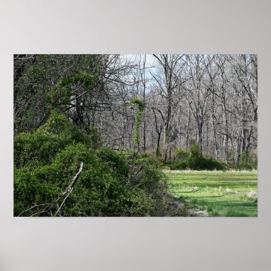 Poster Landschap foto (Voorkant)