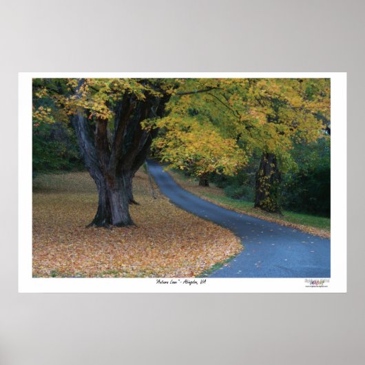 Poster Lane d'automne (Devant)