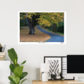 Poster Lane d'automne (Bureau à domicile)