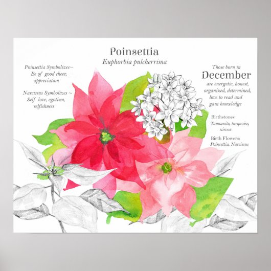 Poster Langage des fleurs de naissance de décembre (Devant)