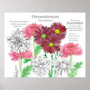 Poster Langage des fleurs de naissance de novembre