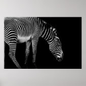 Poster Langage du corps (Devant)