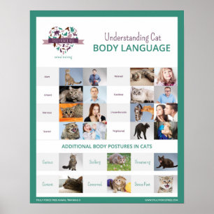 Poster Langage du corps de compréhension 16 x de chat