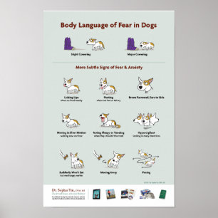 Poster Langage du corps de la crainte chez les chiens