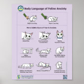 Poster Langage du corps de l'anxiété Feline (Devant)