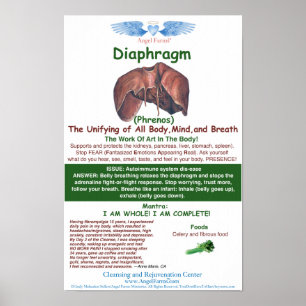 Poster L'ange cultive le diagramme de diaphragme