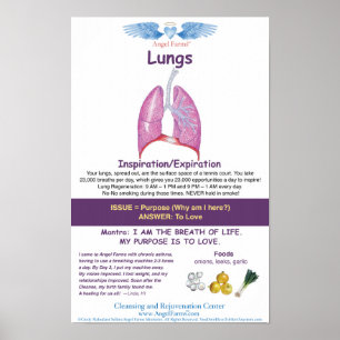 Poster L'ange cultive le diagramme de poumon