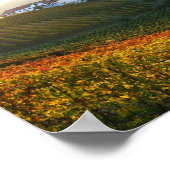 Poster Langhe heuvels (Hoek)