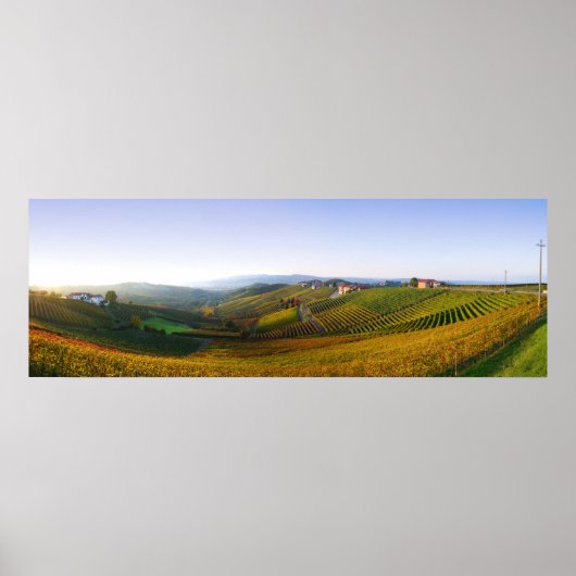 Poster Langhe heuvels (Voorkant)