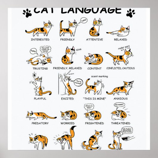 Poster Langue de chat, Drôle Chat Kitten, Aimer Idée cade (Devant)