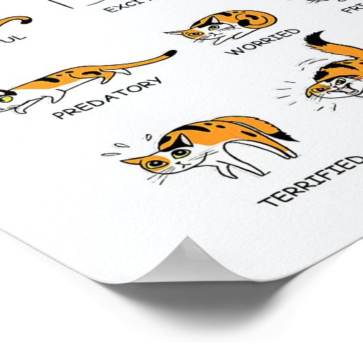 Poster Langue de chat, Drôle Chat Kitten, Aimer Idée cade (Coin)