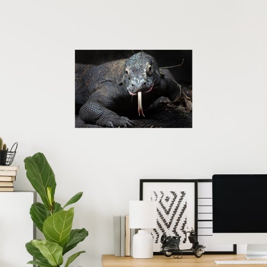 Poster langue de dragon komodo baver (Bureau à domicile)