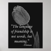 Poster Langue De L'Amitié. (Devant)