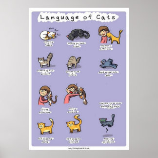 Poster langue des chats
