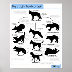 Poster Langue du corps 16x20